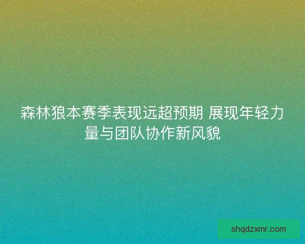 森林狼本赛季表现远超预期 展现年轻力量与团队协作新风貌
