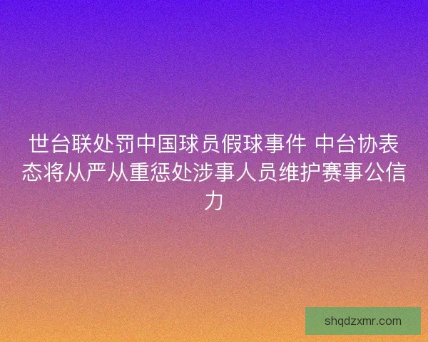 世台联处罚中国球员假球事件 中台协表态将从严从重惩处涉事人员维护赛事公信力
