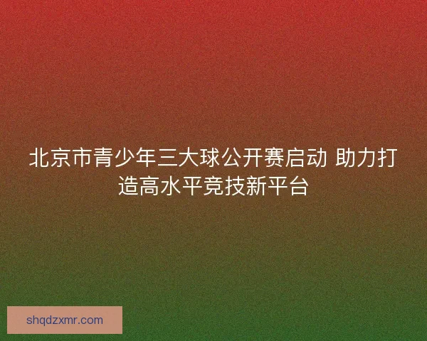 北京市青少年三大球公开赛启动 助力打造高水平竞技新平台