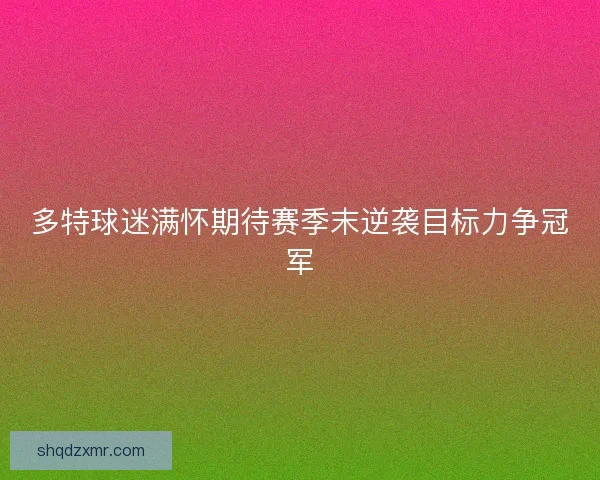 多特球迷满怀期待赛季末逆袭目标力争冠军